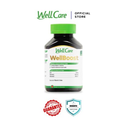 WELLCARE - WellBOOST - Image 4