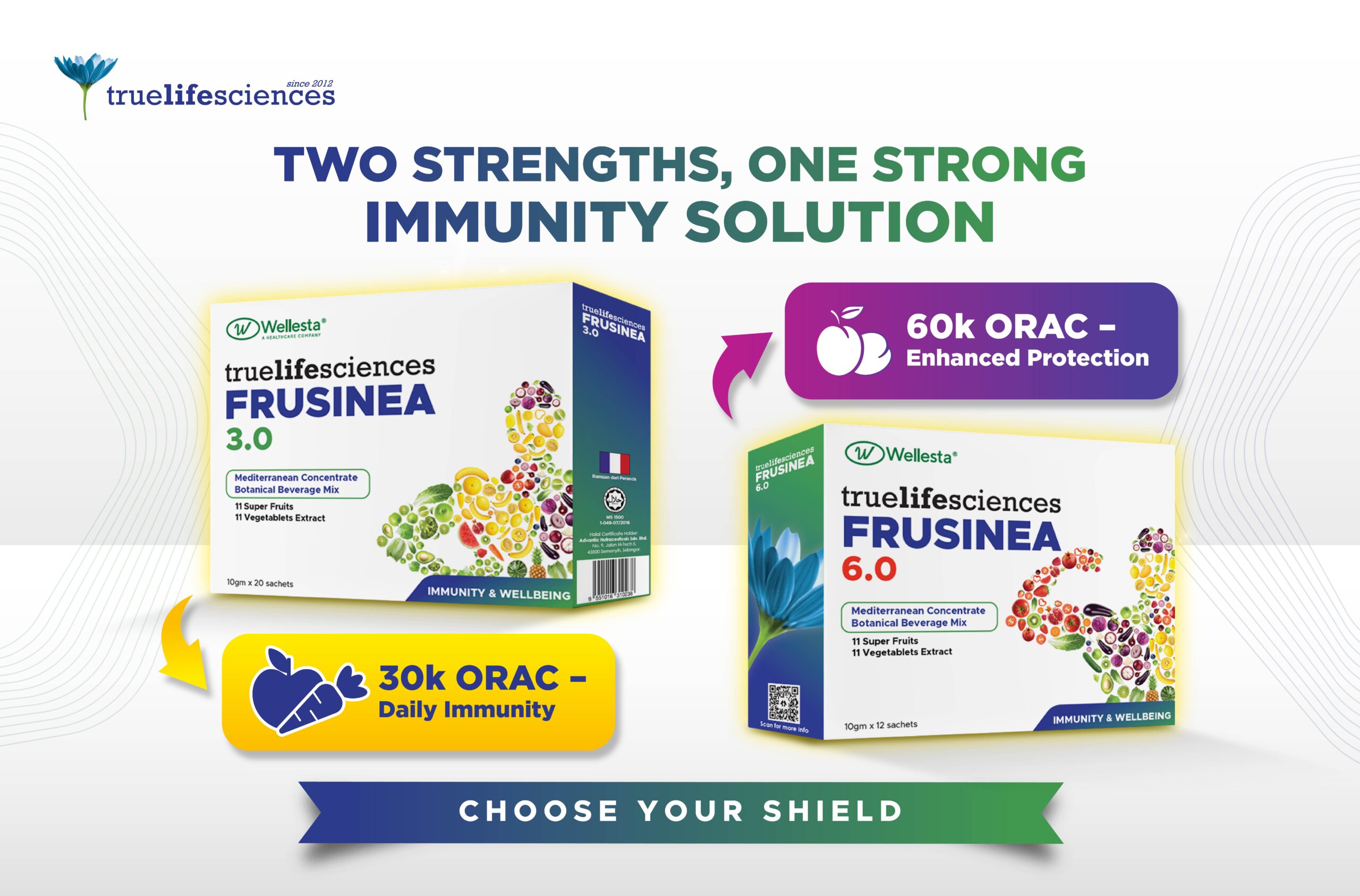 Website banner_Frusinea3.0 & 6.0
